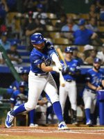 Licey cae ante el Escogido en choque citadino