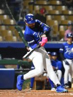 Campusano y Rojas Jr. lideran triunfo del Licey sobre Toros