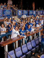 Licey anuncia proyecto VIP para sus fanáticos